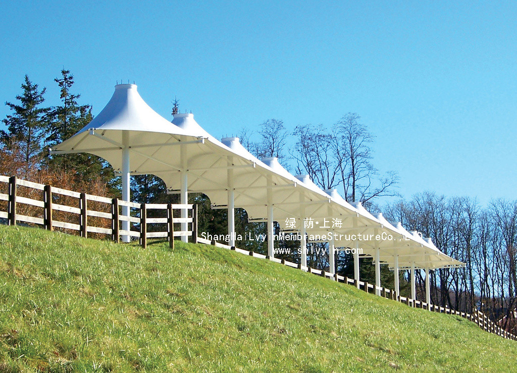 1505097877962534.jpg 10 (5)_副本.jpg